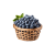 Blueberries